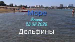 Анапа 23.08.2026 Центральный пляж Дельфины