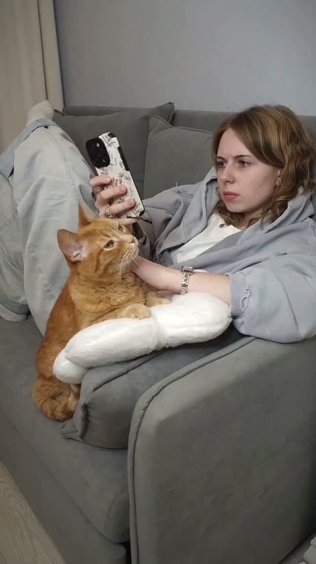 Когда даже на кухню без кота нельзя