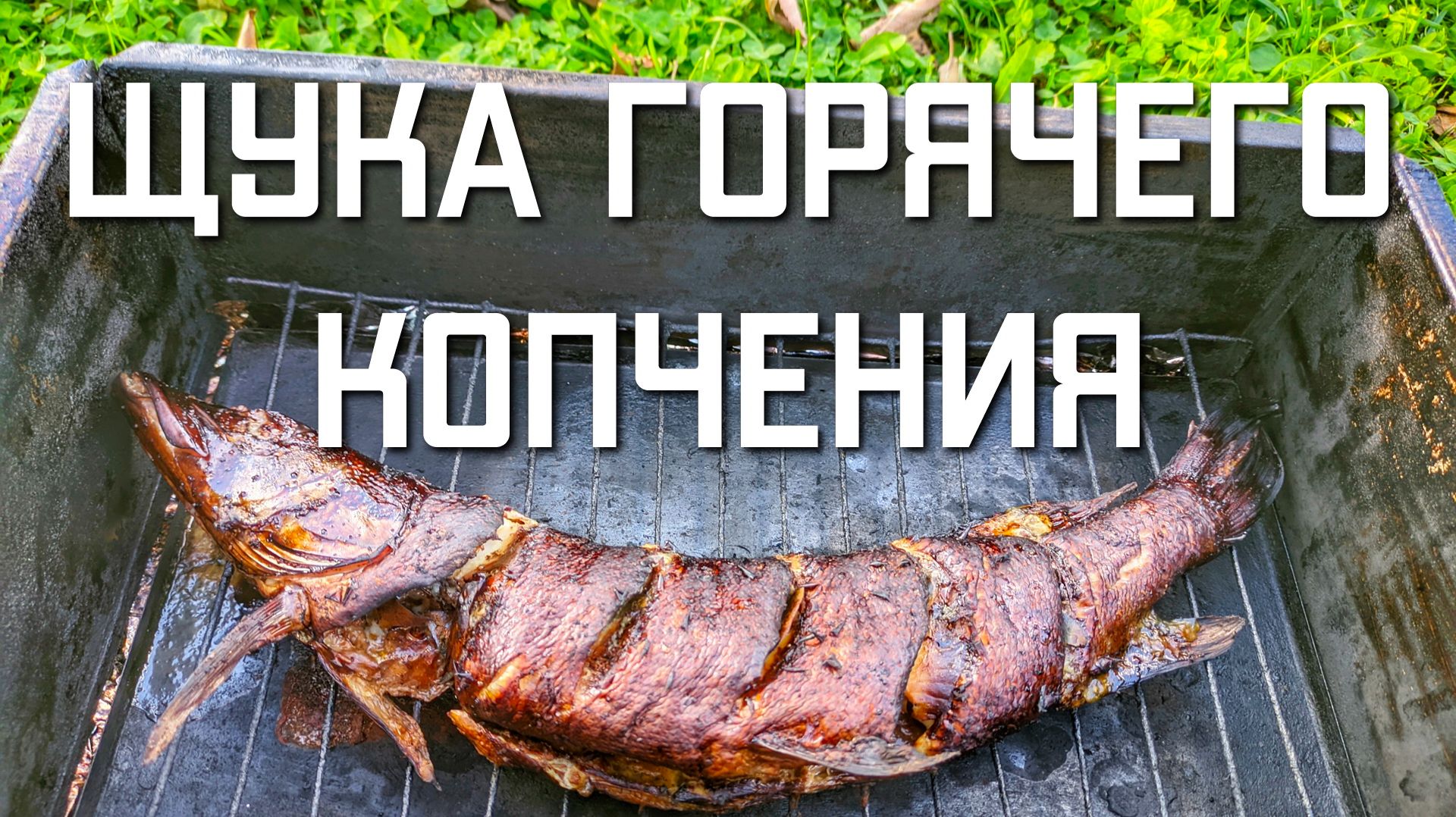 Щука горячего копчения рецепт в коптильне время копчения