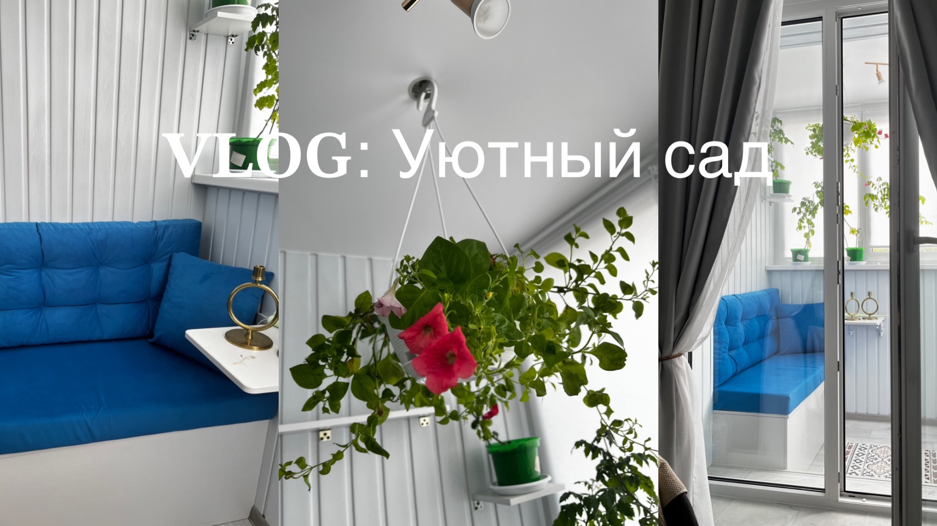VLOG | Сад на балконе | Уход за томатами и пересадка петуний