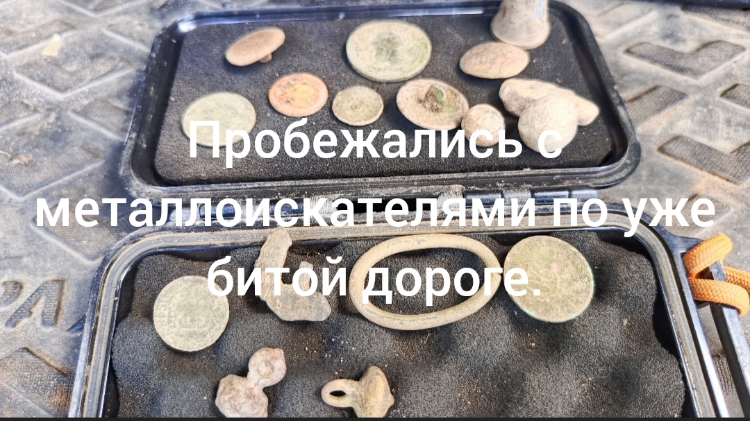 Потеряшки на битой лесной дороге