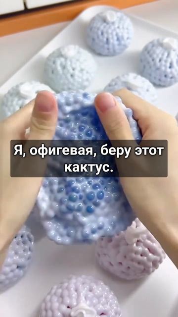 загадочный кактус
