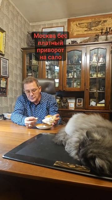 Москва бес платный приворот на сало шаманский