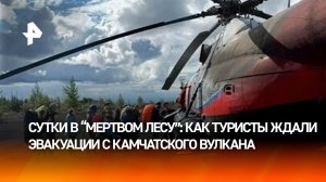 Застрявших в «Мертвом лесу» на Камчатке туристов эвакуировали вертолетами