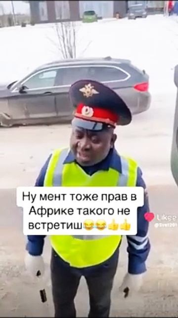 Смешные видео, юмор и приколы