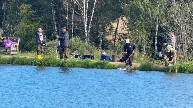 Поимки форели на водоеме