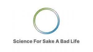 RSA: Bayer2017