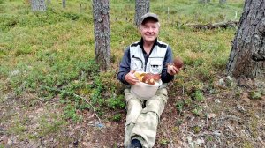 Боровик, Моховик, Лисички. Сосновый Бор, Паша. Лодейное поле