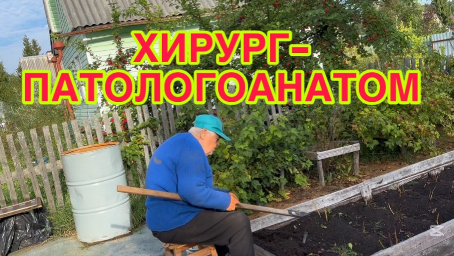 238 26  ВЫКОПАЛИ КАРТОШКУ.  УБРАЛА ПЕРЦЫ.  МЕНЯЮ  ЧАСЫ НА ТРУСЫ.  ДОТОШНЫЙ ХЛОПЕЦ. ПОГОДА ДАЛА ФОРУ