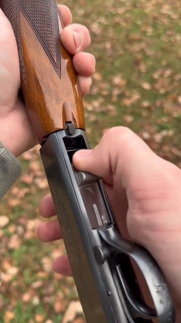 ИИ?