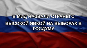 В МИД назвали страны с высокой явкой на выборах в Госдуму