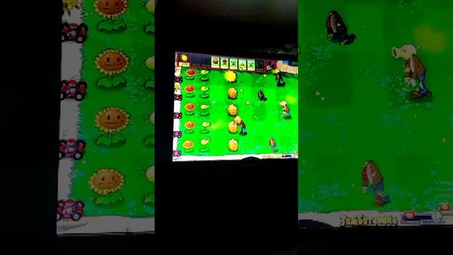 играем растение против зомби продолжения