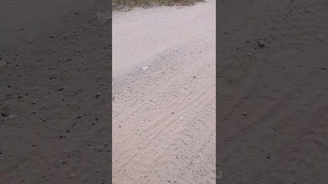 Гуляем на заброшке