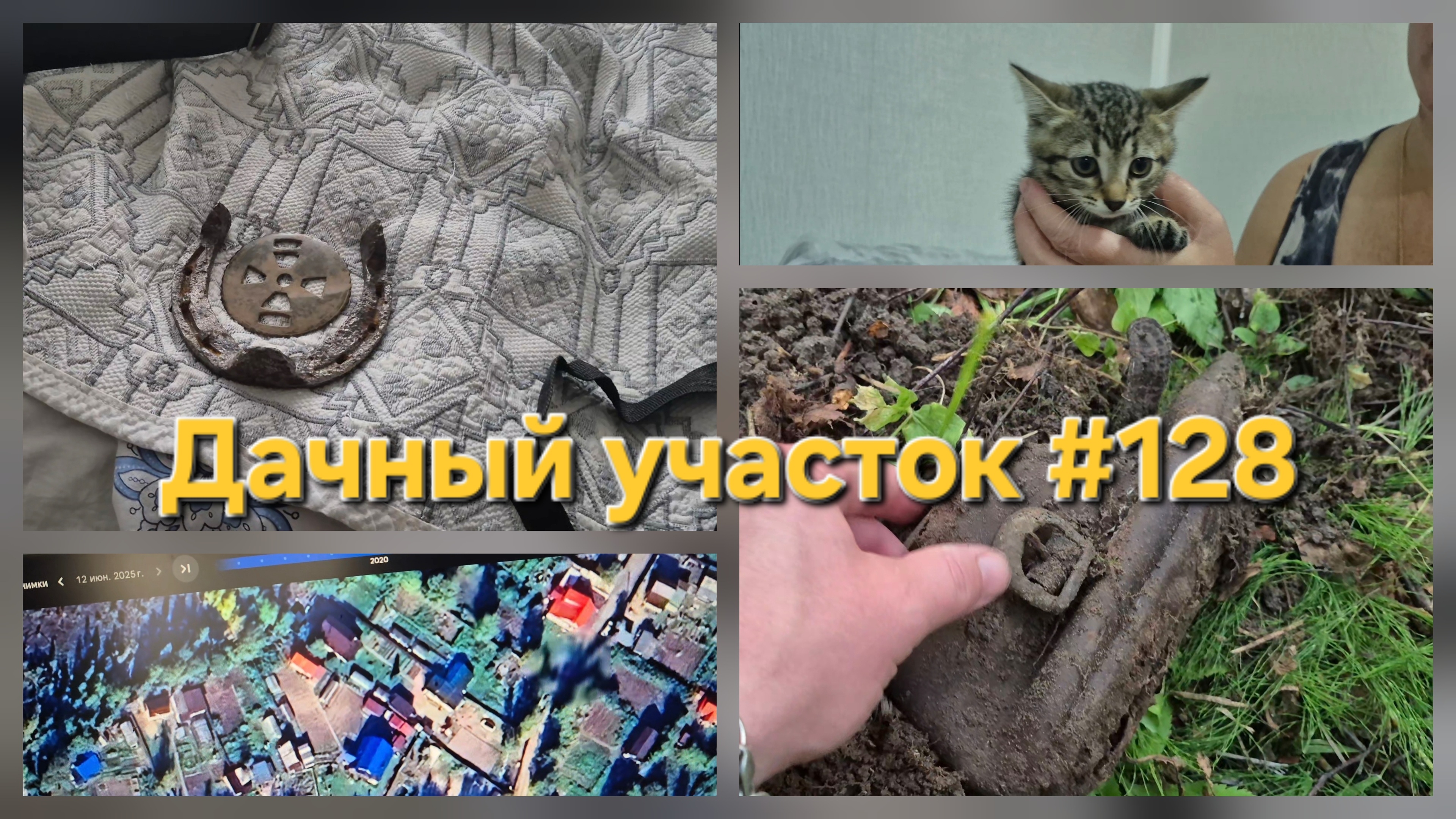 Дачный участок 128 Взяли котёнка  Кладоискатель  Сад и огород