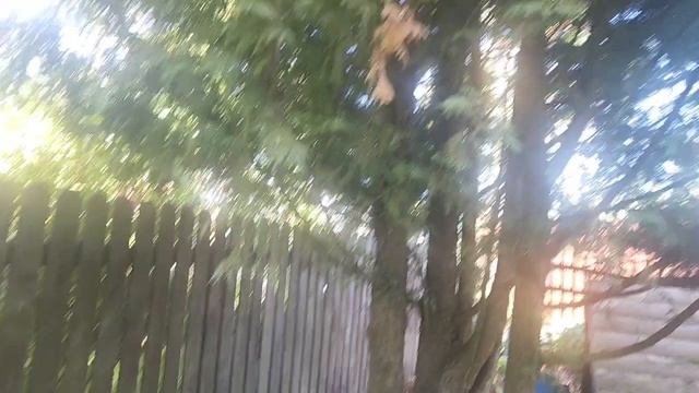 Лето в банках: закрываю огурчики и готовлю яблочное пюре