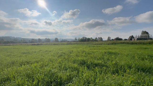 Таргай