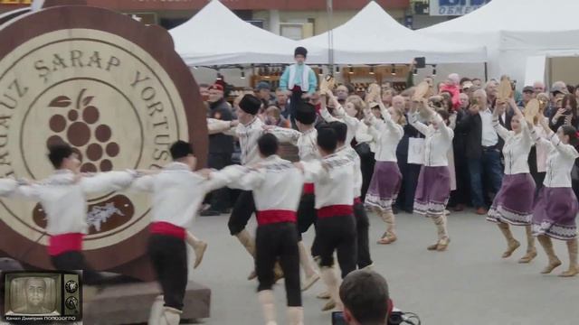 Фестиваль вина в Гагаузии - песни Дмитрия Попозогло