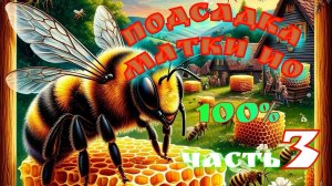 🔥 ПОДСАДКА МАТКИ ИО ЧАСТЬ 3 ❗❗❗ ПОЗДНИЙ ОТВОДОК