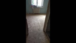 Ремонт деревянного пола в квартире: замеры, расчёт материалов, устранение скрипа и настил осб/фанера