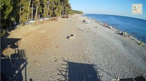 #02▪️Пляжи Абхазии▪️Побережье Черного моря▪️Пицунда▪️Мюссерский заповедник