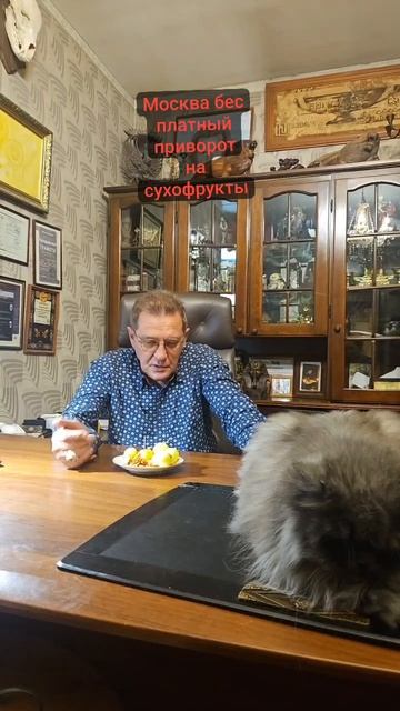 Москва бес платный приворот шаманский на сухофрукты
