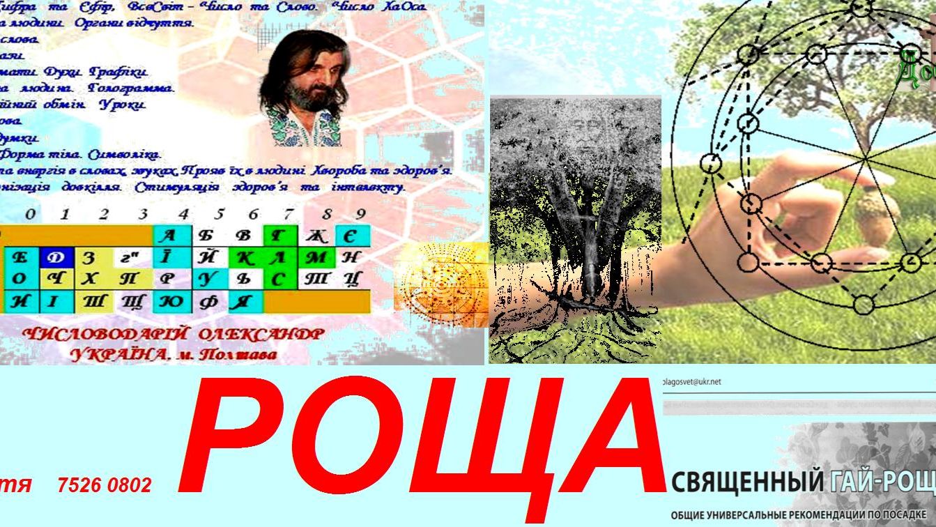 заняття 7526 0802 РОЩА