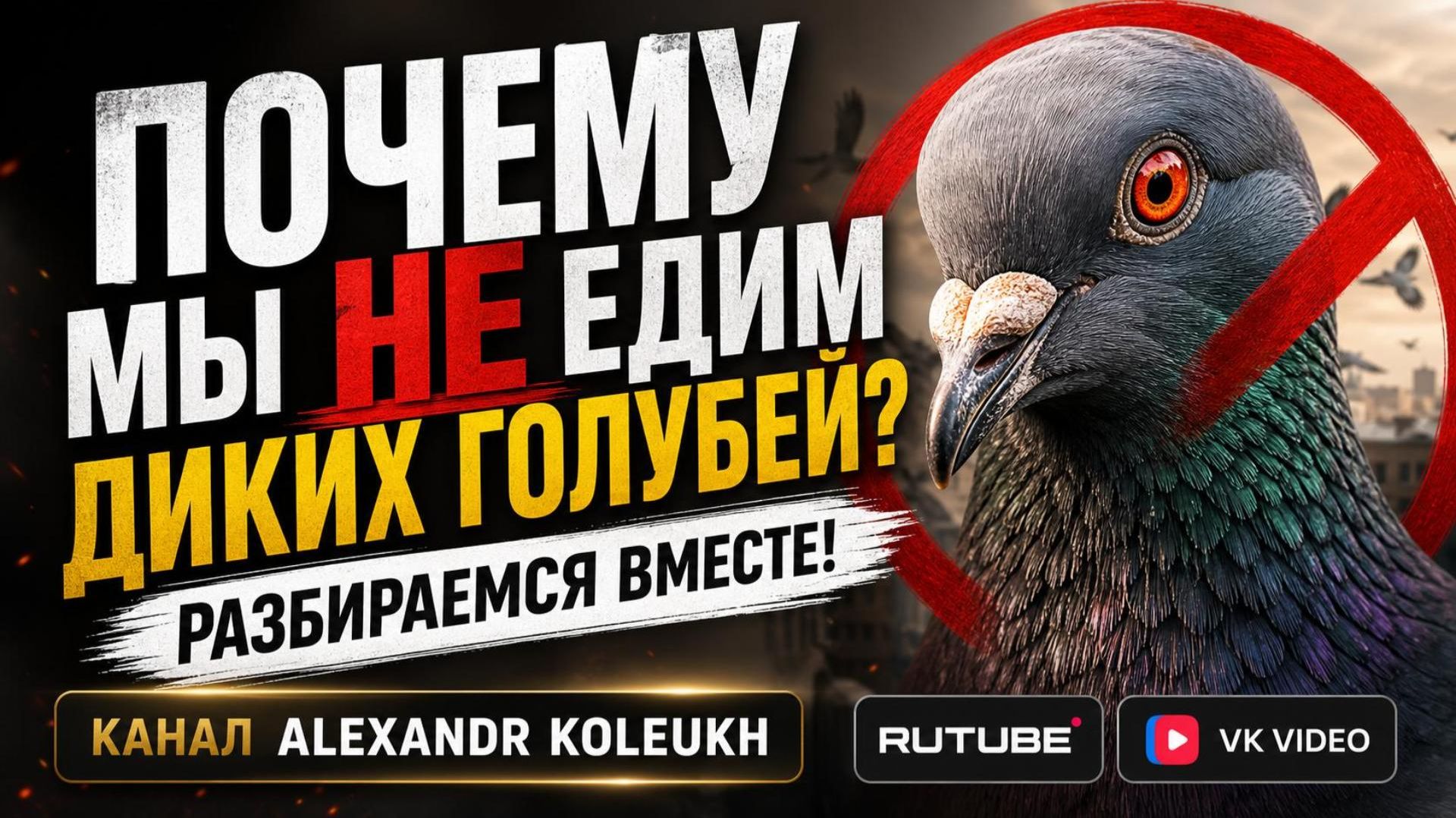 ПОЧЕМУ МЫ НЕ ЕДИМ ДИКИХ ГОЛУБЕЙ! РАЗИРАЕМСЯ ВМЕСТЕ!