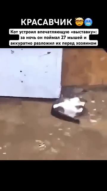 Охотник.