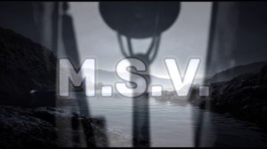 «ПРЕКРАСНЕЙ ВСЕГО»  MSV