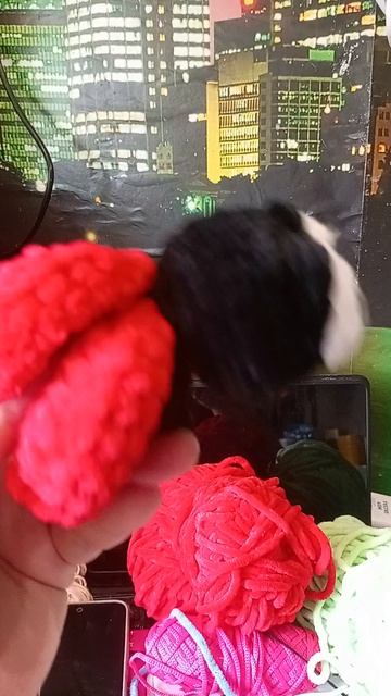 божья коровка
