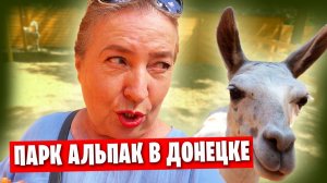 Парк альпак «СИМБА» в Донецке - Эльвира впала в детство)