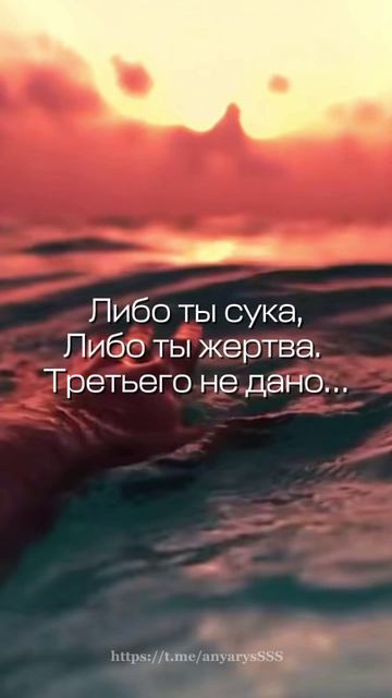 Выбор за тобой 🔥