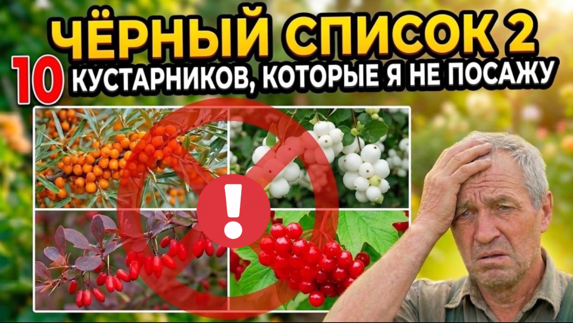 10 кустарников, которые я больше НИКОГДА не посажу - мой чёрный список для сада и огорода часть 2