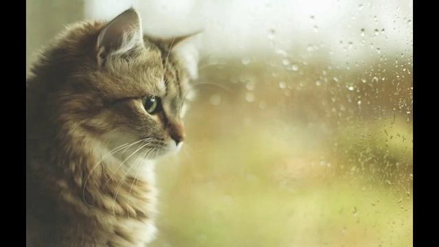 Я сегодня один. Никого у меня. Поп-соул - стихи Виктора Левашова, Ярославль