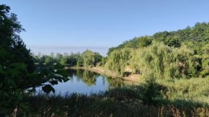 ❌ Самозанятость без границ ❌ Смело начинайте зарабатывать на Рутубе уже сегодня ❌