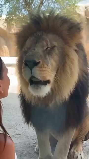 🦁ТЕБЕ🦁МЕНЯ🦁МАЛО❓
