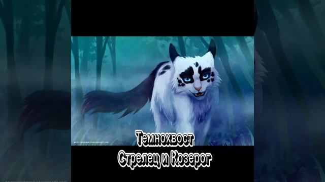 ЗЗ Коты воители (злодеи)