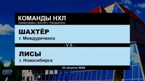 Шахтёр - Лисы