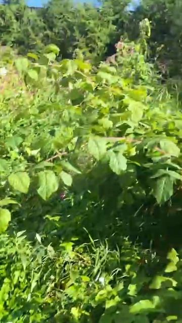 Жители одного из подмосковных городов пожаловались на едкий запах канализаций