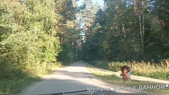 ГДЕ-ТО. ДАЛЕКО ОТ ДОМА. КРАСИВАЯ ПРИРОДА. ОЧЕНЬ МНЕ НРАВИТСЯ💓 ЗДЕСЬ. МОИ РОДНЫЕ МЕСТА. КЛАСС МУЗЫКА
