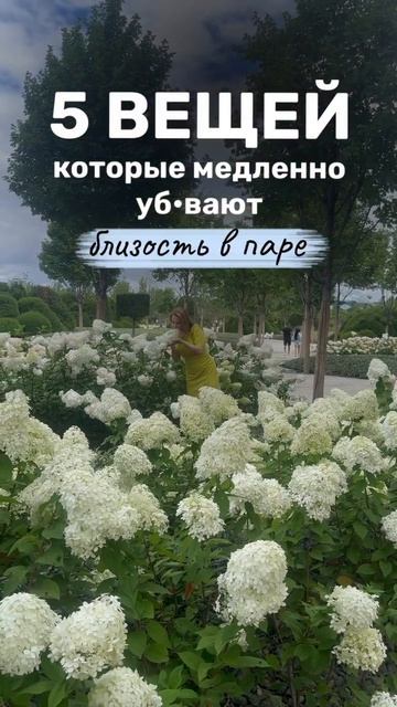 5 вещей которые медленно
