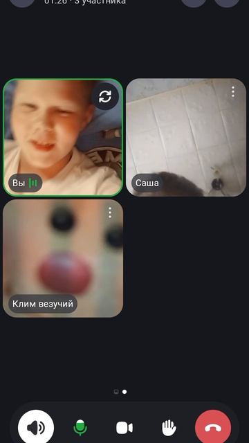 ежедневный шортс