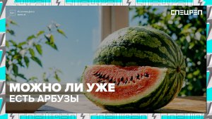 Можно ли уже покупать арбуз? | Специальный репортаж — Москва 24