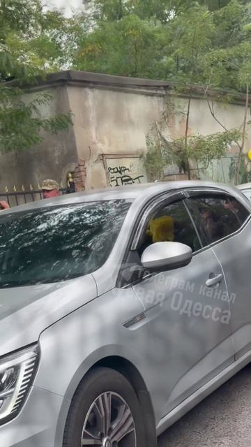 �������� ������ ��i����� ����� � ��� ����������