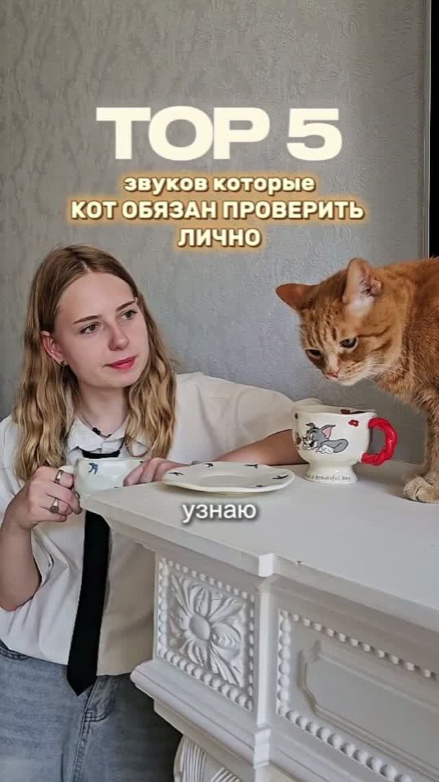 Топ-5 звуков которые кот обязан проверить лично