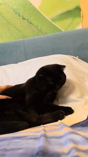 Кайфули