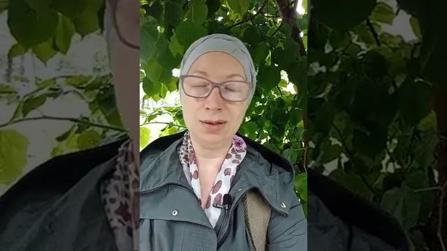 М.М.20) Мы и прошлое.