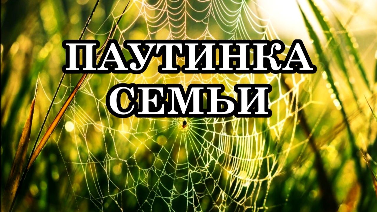 ПОДСКАЗКИ ВЫСШИХ СИЛ
