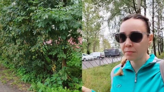 Канал  с искусственно увеличенным числом подписчиков Домосед: что дальше?