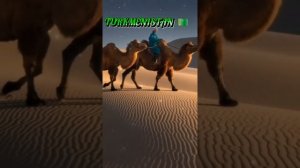 Вместе мы сила